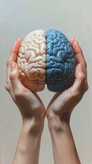 Hands Holding Two Halves of a Brain in Contrasting Colors
