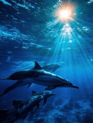 Fototapeta premium Dolphins Swimming Towards Sunlight in Deep Blue Ocean