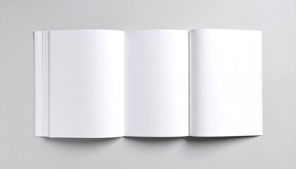 Open book, blank pages