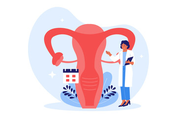 Illustration of Female Reproductive Health and Gynecology. Doctor Examining a Uterus for Women's Wellness