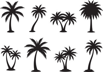 Tropical Palm Collection: A captivating collection of stylized palm trees, each a unique silhouette, showcasing the iconic imagery of tropical beauty and seaside serenity.