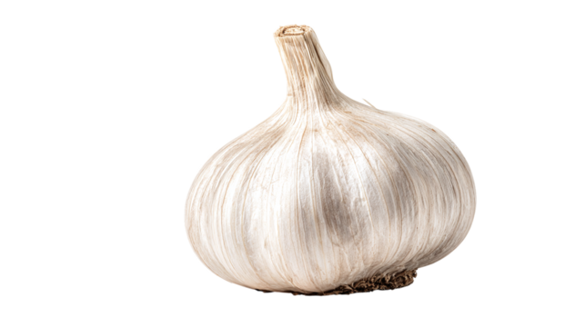 Antique Compass with Open Case isolated on transparent background