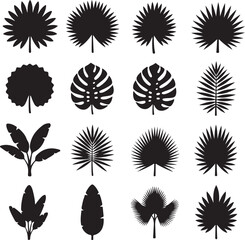 Tropical Leaf Silhouettes: A collection of detailed, vector-style silhouettes of diverse tropical leaves, showcasing a variety of shapes and textures to inspire.