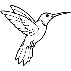 Obraz premium flying hamming bird outline