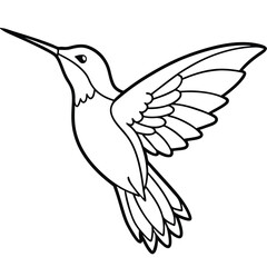 Fototapeta premium flying hamming bird outline