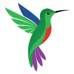 colorful humming bird Artwork