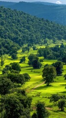 Obraz premium Lush Green Valley Landscape with Distant Mountains Under a Bright Sky