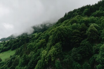 Misty Green Mountain Slope Lush Forest in Overcast Sky