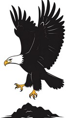 Obraz premium A bald eagle in flight, descending towards rocks