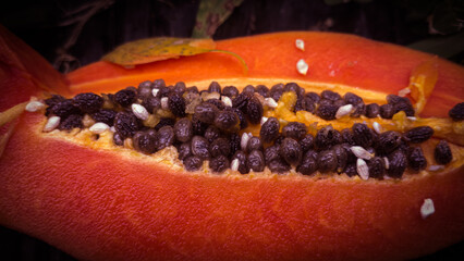 Piece of Papaya fruit macro photography