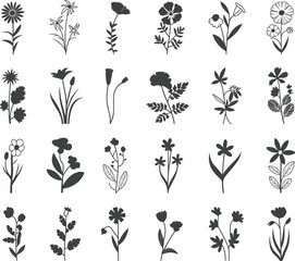 Wildflower silhouette vector set, decorative floral illustration, garden plant icons, botanical black nature elements, meadow flower collection, spring blossom graphic art