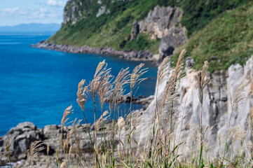 立待岬からの眺め