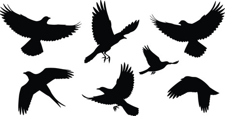 Flying bird silhouettes collection in black, crow and pigeon shadow art, wildlife illustration, vector design isolated on white background