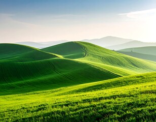 Rolling green hills under a clear sky at sunrise