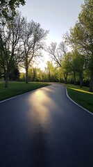 Paved road with trees and golden sunlight reflecting in a peaceful spring landscape