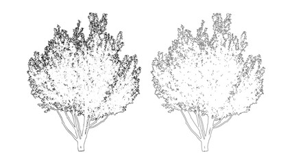 Obraz premium front View Vector Icons of Trees and Plants for Floor Plan and Architectural Design Projects 
