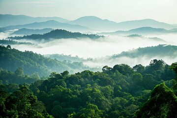 Breathtaking vista of lush green mountain range shrouded in ethereal morning mist, perfect for travel inspiration, nature retreats, and serene landscapes