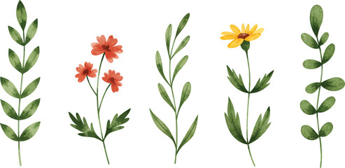 Watercolor floral arrangement with red and yellow blooms on transparent background