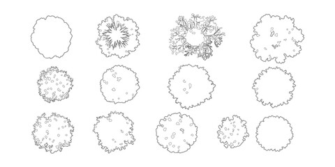 Top View Tree Outlines Collection Diverse Botanical Silhouettes for Architectural Plans © MstPoliAkther