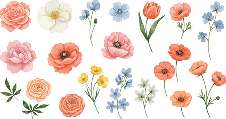 Watercolor floral collection with various blooms and delicate foliage on transparent background © MIRAJ02