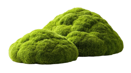 Luminous green mounds of simulated vegetation, perfect for design elements isolated on a