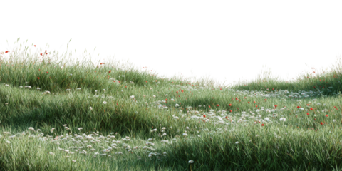 Lush field with wildflowers in bloom, detailed grass and a serene feel offering a visual harmony,