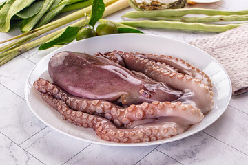 Gourmet luxury raw wild octopus