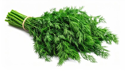 Fresh dill bunch on white background