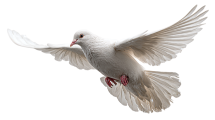 Honey jar with wooden dipper isolated on transparent background