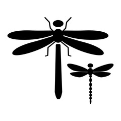 dragonfly vector illustration