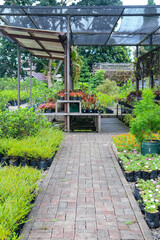 Green nursery filled with diverse plants in black polybags, arranged neatly under shaded roof structures, creating a refreshing and vibrant atmosphere with lush greenery all around.