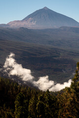 Medium portrait shot showing a lush green forest with a few white clouds drifting below Mount Teide...