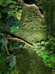 Artificial vertical garden with lush green texture covering the wall, blending moss-like surface, decorative plants, and natural tones that create a refreshing impression in modern space design.