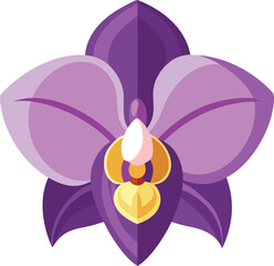 Elegant purple orchid flower botanical beauty realistic petals tropical bloom isolated graphic element