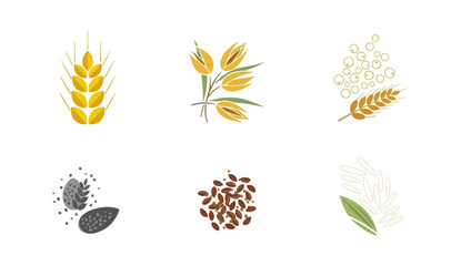 Different grain types graphic