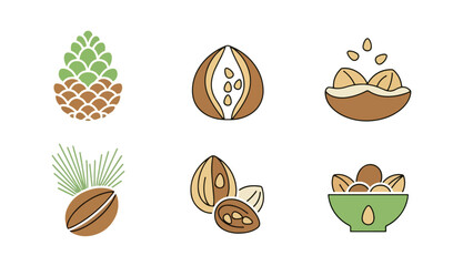 Nuts and pine cone illustrations