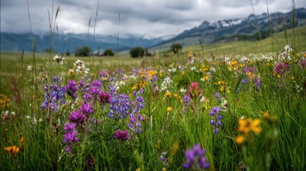 Obraz premium Vibrant Wildflowers in a Majestic Landscape Under Cloudy Skies