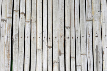 Fototapeta premium Pathway made from aligned bamboo stems
