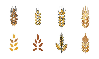Variety of wheat ears illustrations