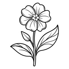 nemesia strumosa sunsatia line art flower vector on white