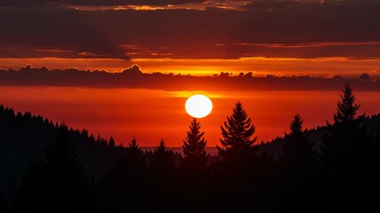 Vibrant sunset over a dark forest silhouette with orange sky