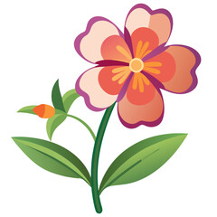  nemesia strumosa sunsatia flower vecytor on white