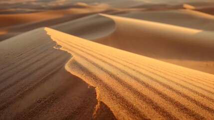 sand dunes in the desert