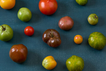 Variety of heirloom tomatoes on blue background

