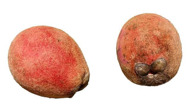 Fresh mabolo or velvet apple isolated on a transparent background