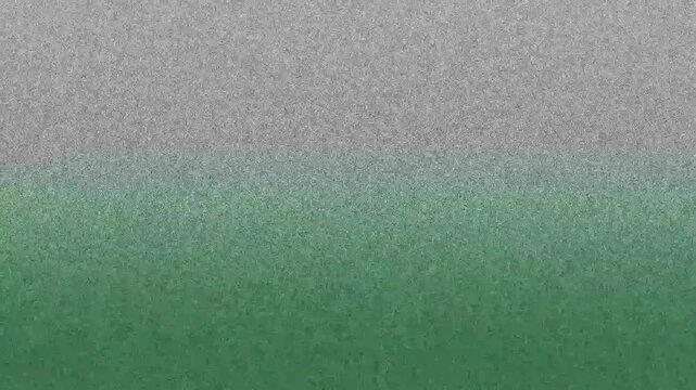 Glitch Echo Static Burst Pixel Rift Analog Decay Digital Noise Retro Fracture Signal Dropout Minimalist Distortion Vintage Artifact Scanline Glitchcore Data Corruption Memory Fragmentation CRT Flicker