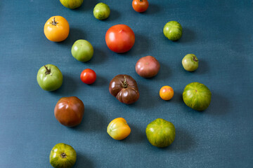 Variety of heirloom tomatoes on blue background
