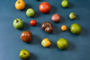Variety of heirloom tomatoes on blue background
