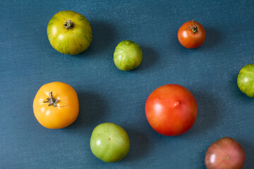 Variety of heirloom tomatoes on blue background

