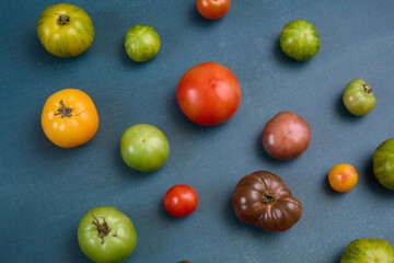 Scattered assorted heirloom tomatoes on blue background

